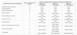 Categorias ayudas kit digital