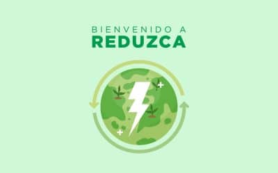 Bienvenido a REDUZCA:  5 medidas para vivir en un mundo más sostenible